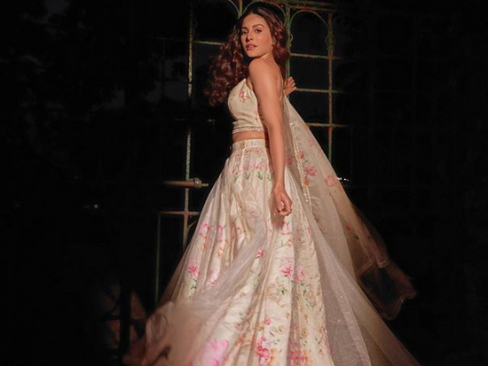 Adorable Amyra Dastur In Ethnic Wear